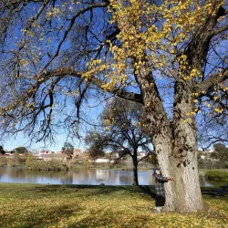 Ararat Botanic Gardens - Ararat