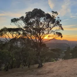 Ararat Heritage Walk - Ararat