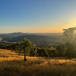 Ararat Heritage Walk - Ararat