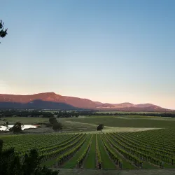Mount Langi Ghiran - Ararat