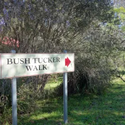 Armidale Aboriginal Cultural Centre and Keeping Place - Armidale