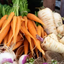 Armidale Farmers Market - Armidale