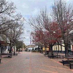 Armidale Heritage Walk - Armidale