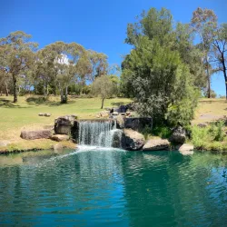Botanic Gardens Armidale - Armidale