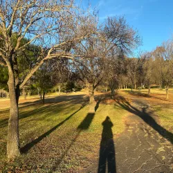 Botanic Gardens Armidale - Armidale