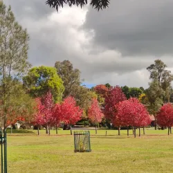 Botanic Gardens Armidale - Armidale