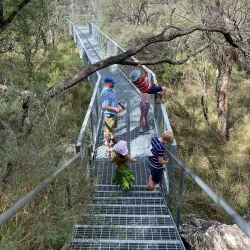 Dangars Falls - Armidale