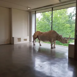 New England Regional Art Museum (NERAM) - Armidale