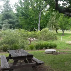 New England Regional Art Museum (NERAM) - Armidale