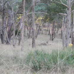 Oxley Wild Rivers National Park - Armidale