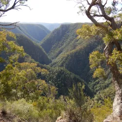 Oxley Wild Rivers National Park - Armidale