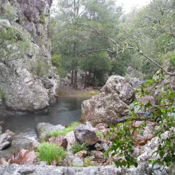 Oxley Wild Rivers National Park - Armidale
