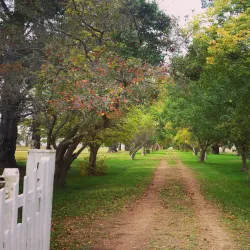 Saumarez Homestead - Armidale