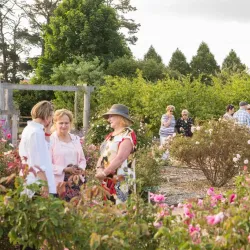 Saumarez Homestead - Armidale