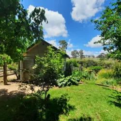 Saumarez Homestead - Armidale