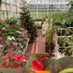 Ayr Botanic Gardens - Ayr