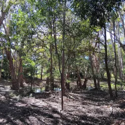 Ayr Heritage Walk - Ayr