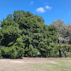 Ayr Heritage Walk - Ayr