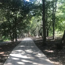 Ayr Heritage Walk - Ayr