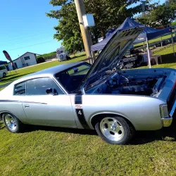 Ayr Showgrounds - Ayr