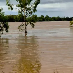 Burdekin River - Ayr