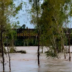 Burdekin River - Ayr