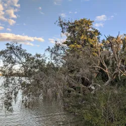 Burdekin River - Ayr