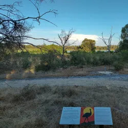 Nowergup Lake - Balga