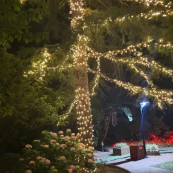 Wanneroo Botanic Gardens - Balga