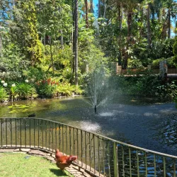 Wanneroo Botanic Gardens - Balga