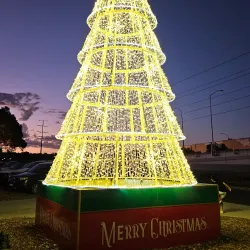 Wanneroo Botanic Gardens - Balga