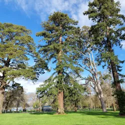 Ballarat Botanical Gardens - Ballarat
