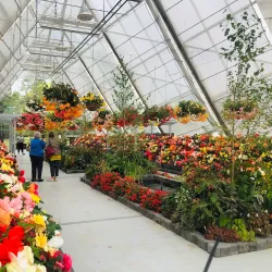 Ballarat Botanical Gardens - Ballarat