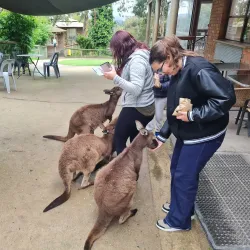 Ballarat Wildlife Park - Ballarat
