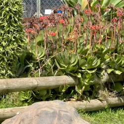 Ballarat Wildlife Park - Ballarat