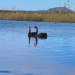 Lake Wendouree - Ballarat
