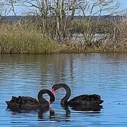 Lake Wendouree - Ballarat