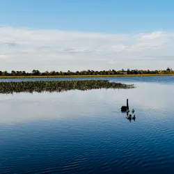 Lake Wendouree - Ballarat