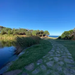 Angourie Blue Pool - Ballina