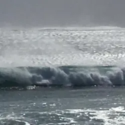 Ballina Surf School - Ballina