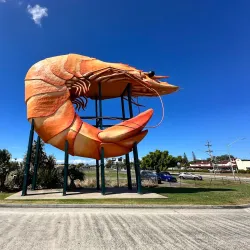 Big Prawn - Ballina