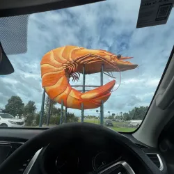 Big Prawn - Ballina