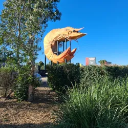 Big Prawn - Ballina