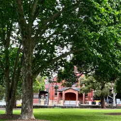 Arncliffe Park - Bardwell Park