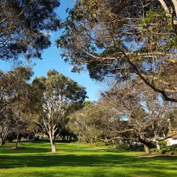 Bardwell Park Reserve - Bardwell Park