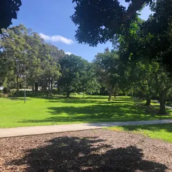 Bardwell Park Reserve - Bardwell Park