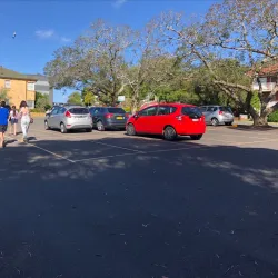 Bardwell Park Reserve - Bardwell Park