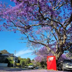 Bardwell Park Reserve - Bardwell Park