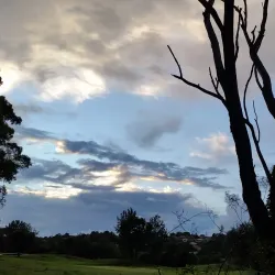 Bardwell Valley Golf Course - Bardwell Park