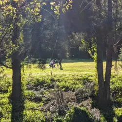 Bardwell Valley Golf Course - Bardwell Park